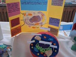 5907102201314887447105867477276021344690149n